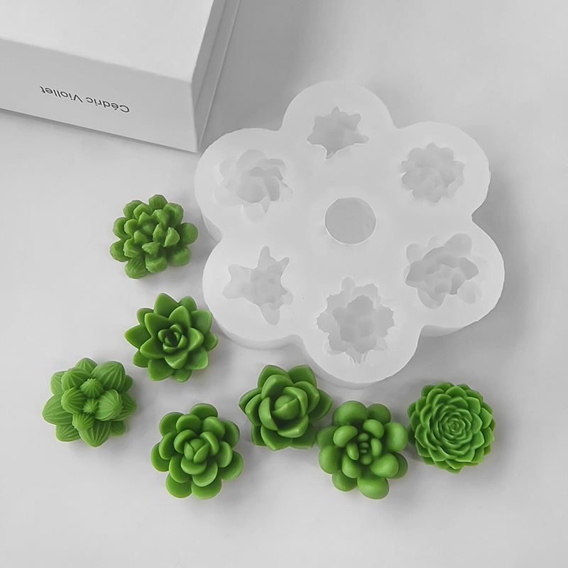 7 In1 Succulent Cactus Silicon - Soap Making At Home 评论和价格