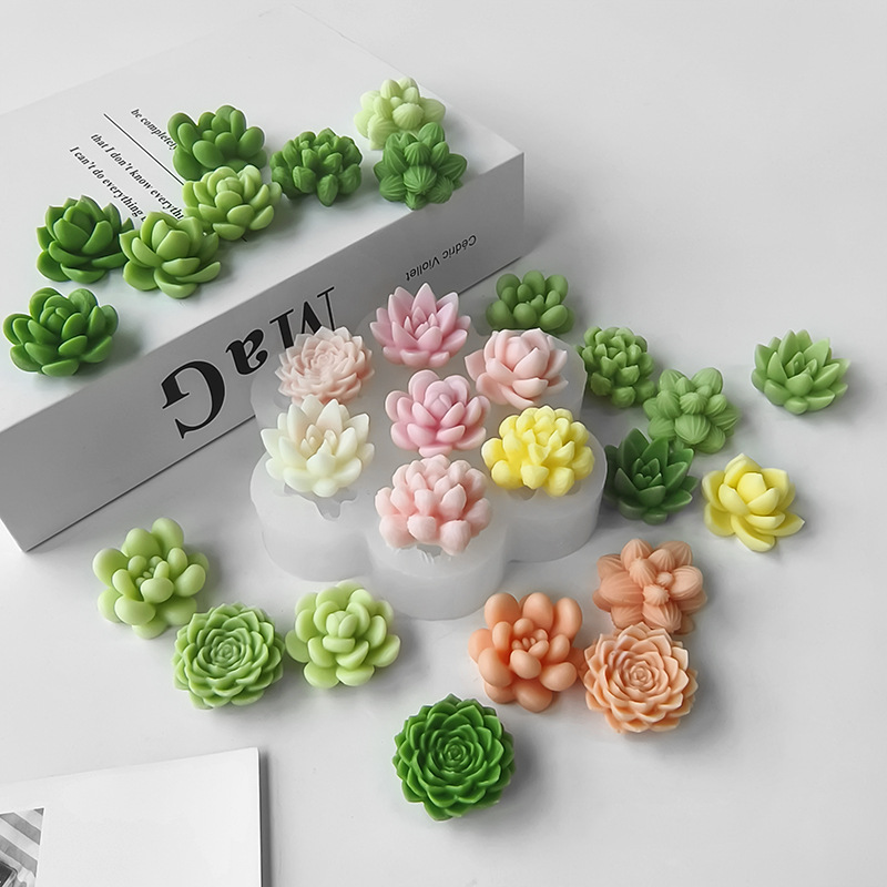 7 In1 Succulent Cactus Silicon - Soap Making At Home 评论和价格